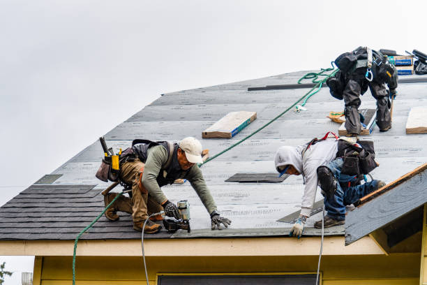 Professional Storm Damage Roof Repair technician working in New Madison, OH